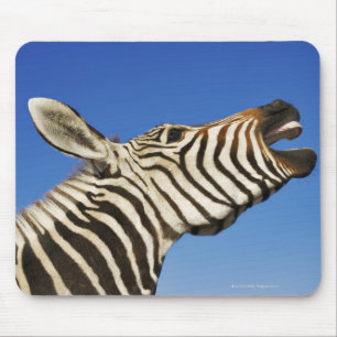 Harnas Naturschutzgebiet, Namibia, südlich Mousepad