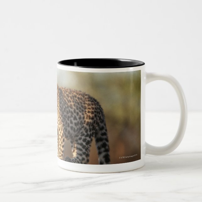 Harnas Naturschutzgebiet, Namibia Zweifarbige Tasse (Rechts)