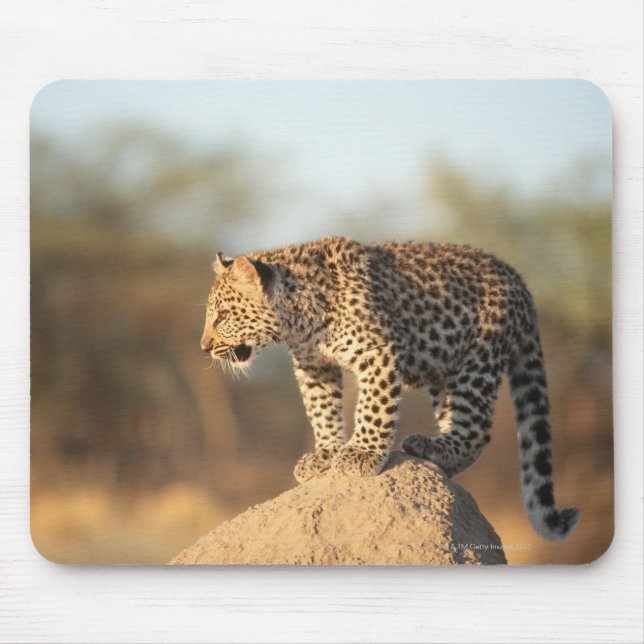 Harnas Wildlife Sanctuary, Namibia Mousepad (Vorne)