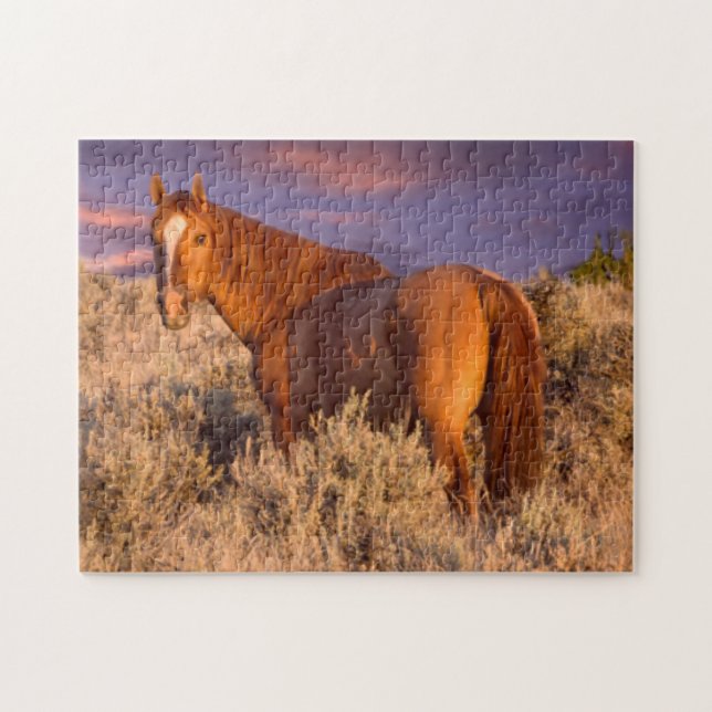 Harney Landkreis Wild Pferd steht Alarm (Horizontal)