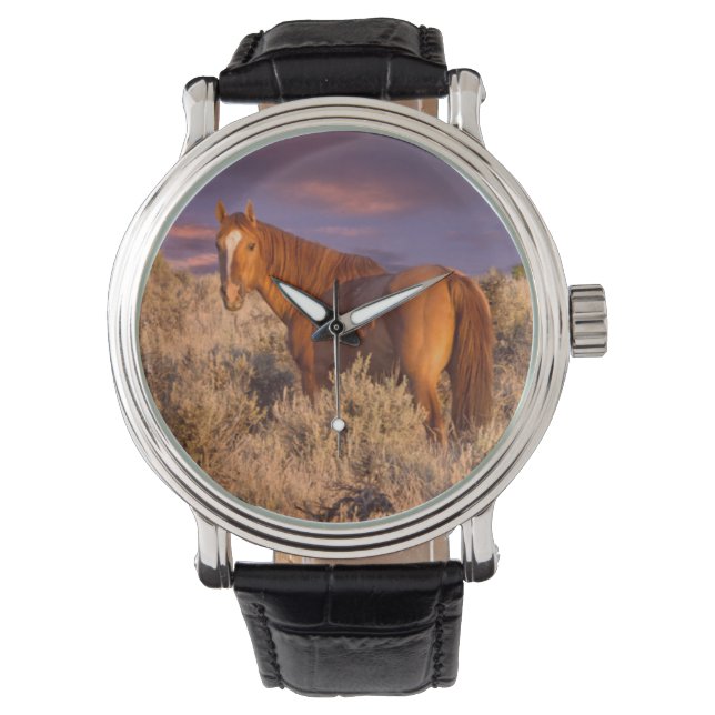 Harney Landkreis Wild Pferd steht Alarm Armbanduhr (Vorderseite)