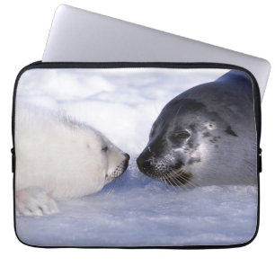 Harp Seal Mother with Pup Laptopschutzhülle