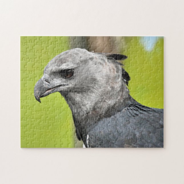 Harpy Eagle Jigsaw Puzzle (Horizontal)