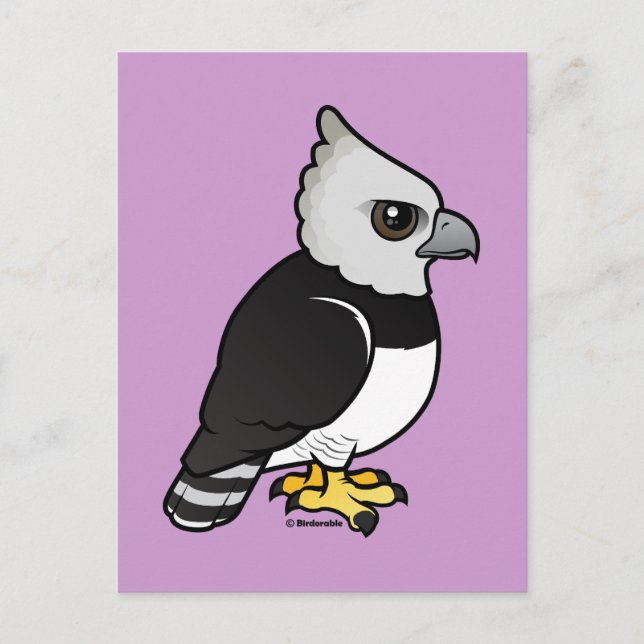 Harpy Eagle Postkarte (Vorderseite)
