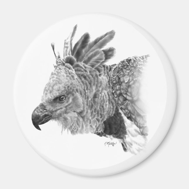 Harpy Eagle Zeichnend Magnet (Vorne)