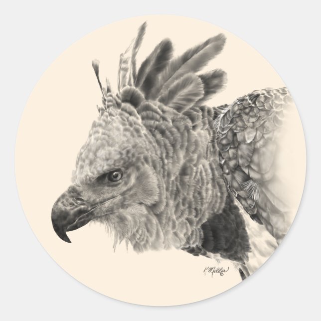 Harpy Eagle Zeichnend Runder Aufkleber (Vorderseite)