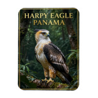 🦅 Harpyie Panama Regenwald Vogel