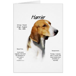 Harrier History Design