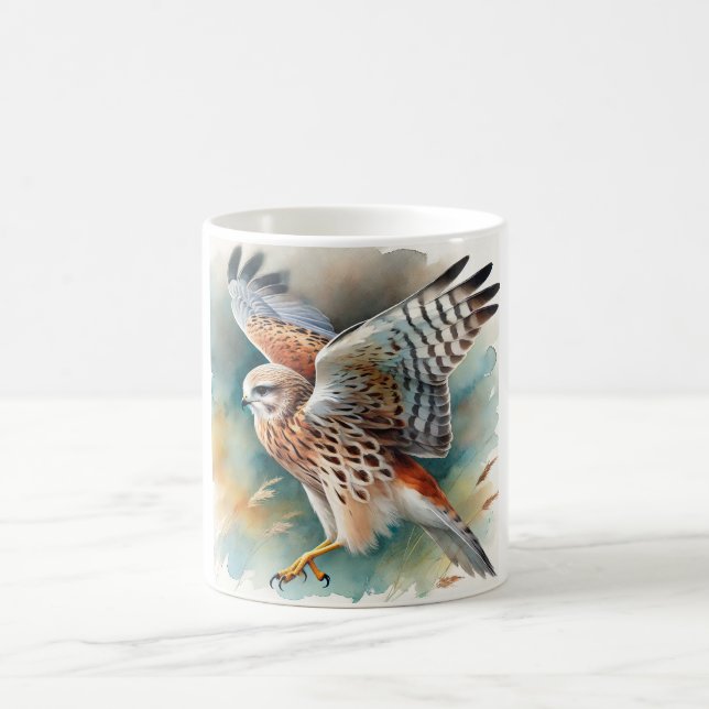 Harrier in flight 060924AREF109 - Watercolor Kaffeetasse (Mittel)