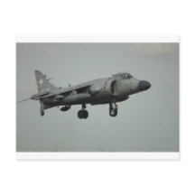 Harrier