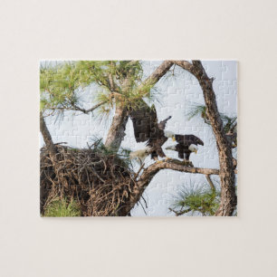Harriet et puzzle de M