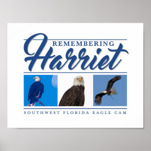 Harriet SWFL Eagle Cam Wall Poster