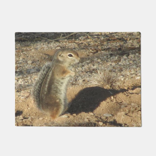 Harris-Antelope-Eichhörnchen Fußmatte (Vorderseite)