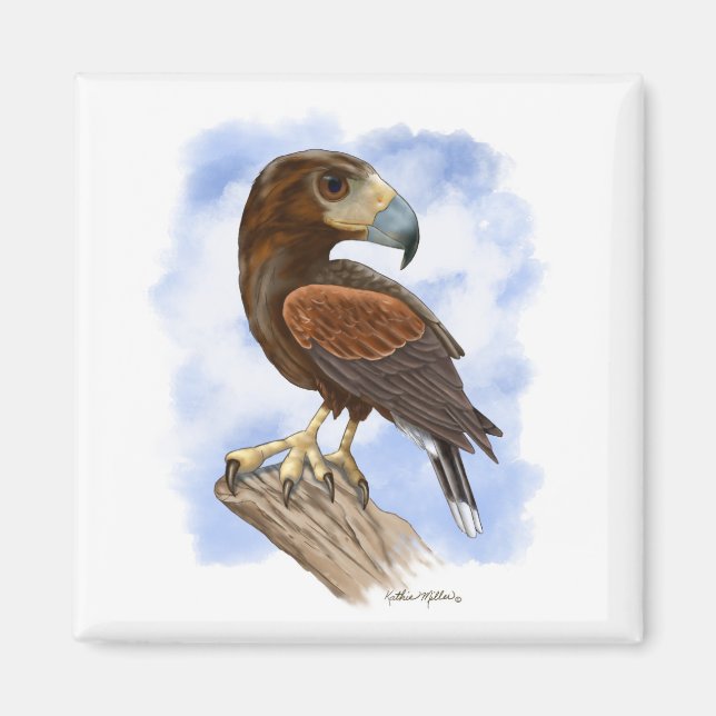 Harris Hawk auf der Lauer Cartoon	 Magnet (Vorne)