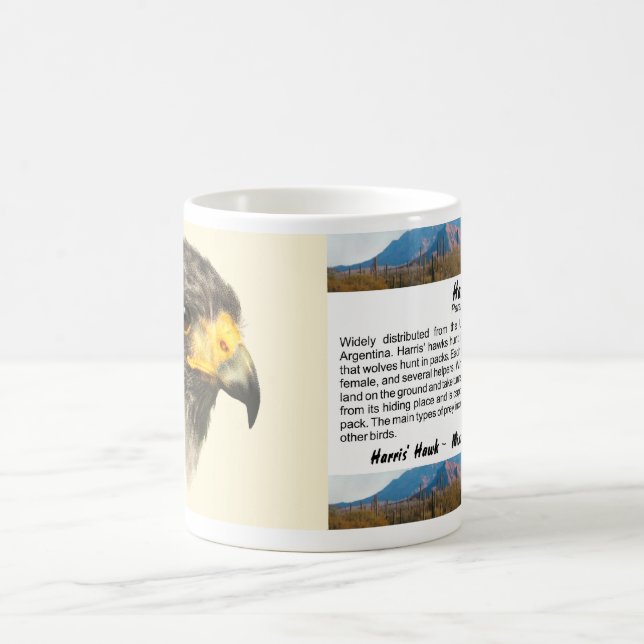 Harris Hawk - gemischte Mittel Kaffeetasse (Mittel)