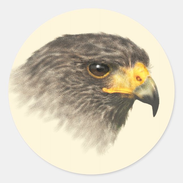 Harris Hawk - gemischte Mittel Runder Aufkleber (Vorderseite)
