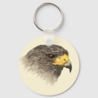 Harris Hawk - gemischte Mittel