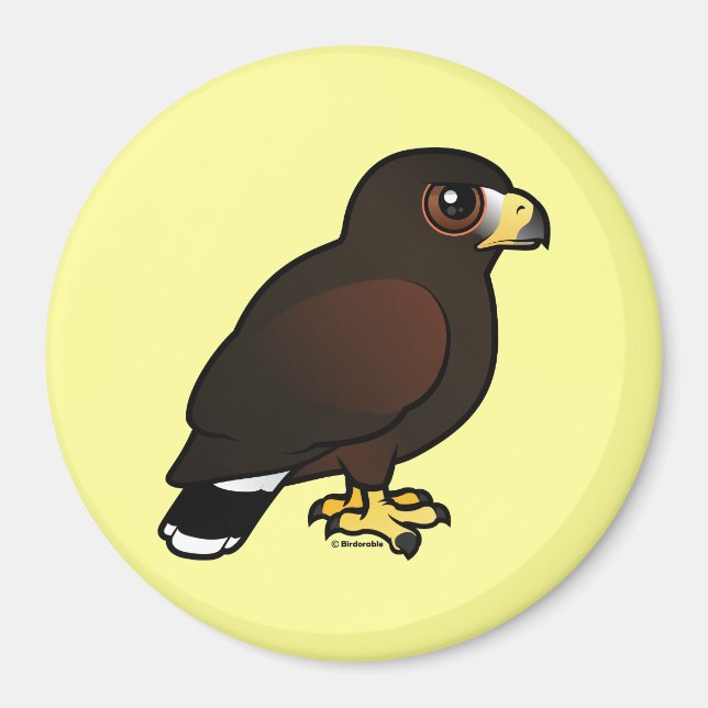 Harris Hawk Magnet (Vorne)