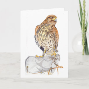 Harris Hawk on Glove birthday Card Karte