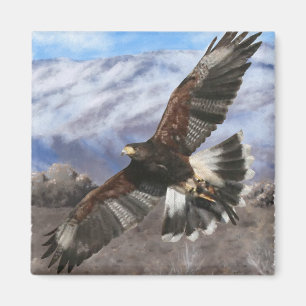 Harris Hawk-pastel Magnet