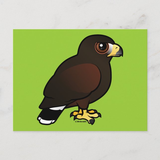 Harris Hawk Postkarte (Vorderseite)