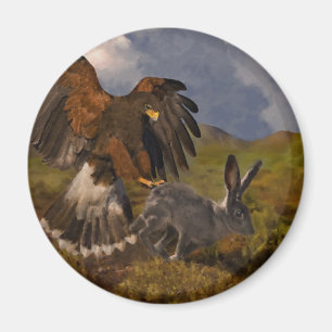 Harris Hawk und Jackrabbit - Acryl Magnet