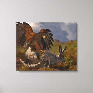 Harris Hawk und Jackrabbit Leinwanddruck