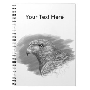 Harris Hawk Zeichnend Notizblock