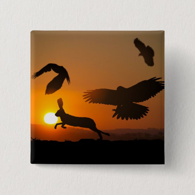 Harris Hawks Button (Vorderseite)