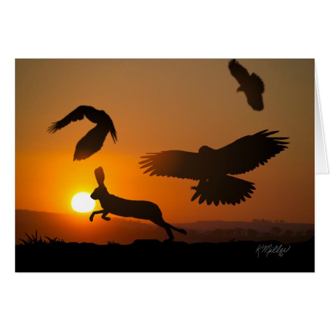 Harris Hawks Jagdkarte (Vorderseite (Horizontal))