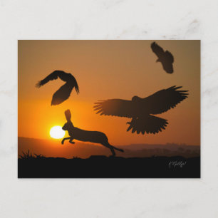 Harris Hawks Jagdpostkarte Postkarte