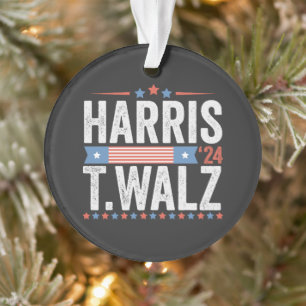 Harris Walz Élection 2024 Kamala Tim Waltz