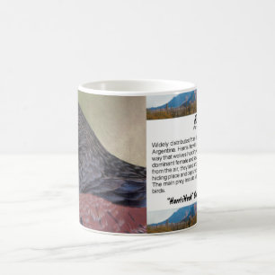Harrisc$falke-cp Kaffeetasse