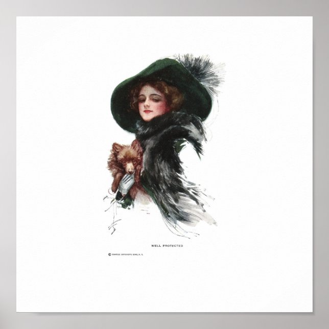 Harrison Fisher Well Protected Poster (Vorne)