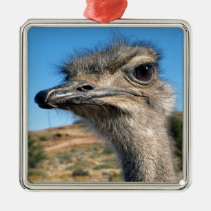Harry der glückliche Strauß Silbernes Ornament