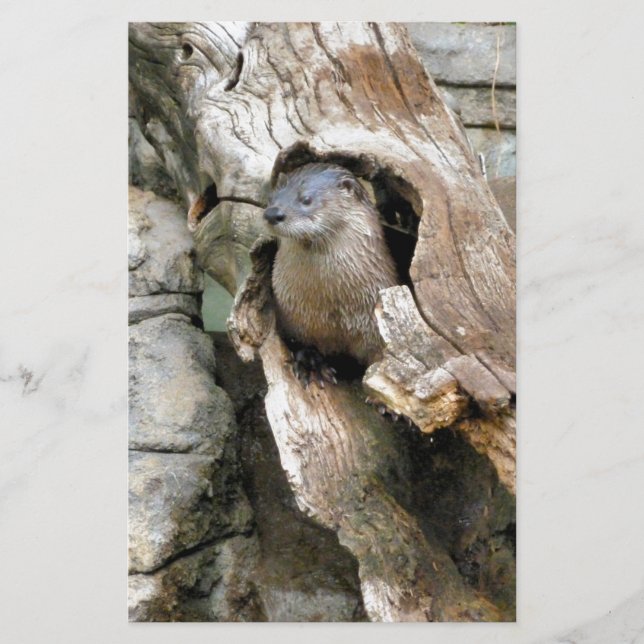 Harry Otter Briefpapier (Vorderseite)