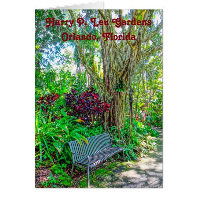 Harry P. Leu Botanical Gardens Orlando Florida (Vorne)