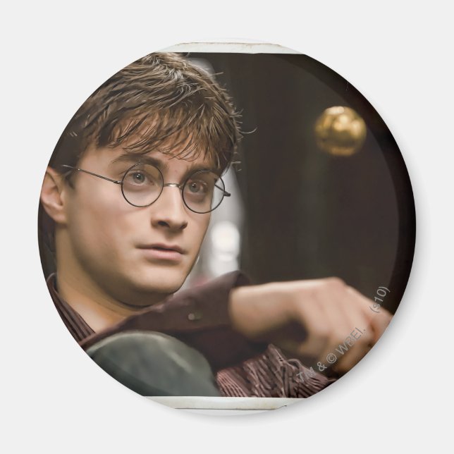 Harry Potter 17 Magnet (Vorne)