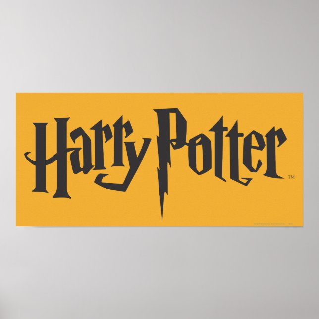 Harry Potter 2 Poster (Vorne)