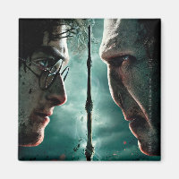 Harry Potter 7 Part 2 - Harry vs Voldemort