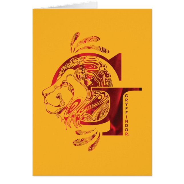 Harry Potter Aguamenti GRYFFINDOR™ Graphic (Vorne)