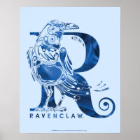 Harry Potter | Aguamenti RAVENCLAW™ Graphic