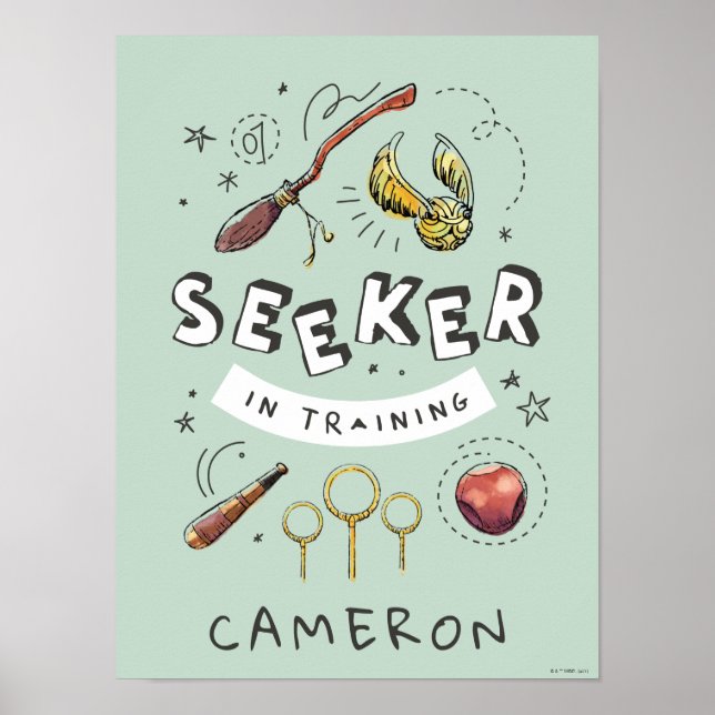 HARRY POTTER™ | Ausbildungssuchende Poster (Vorne)