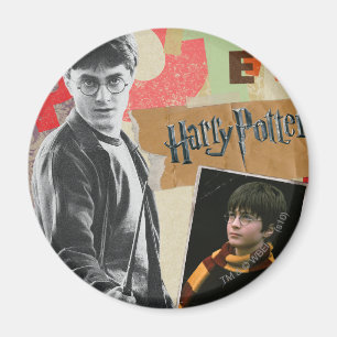 Harry Potter damals und heute Magnet