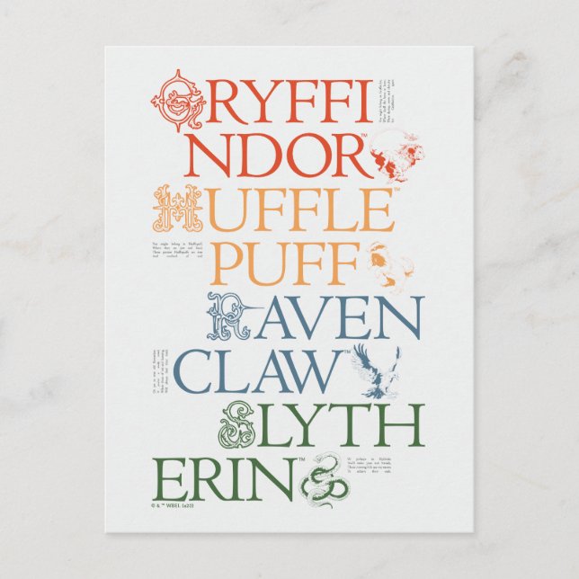 HARRY POTTER™ | Delicate Sketch HOGWARTS™ Houses Postkarte (Vorderseite)