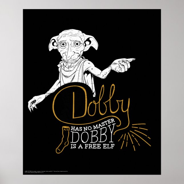 Harry Potter | Dobby Hat Keinen Herrn Poster (Vorne)