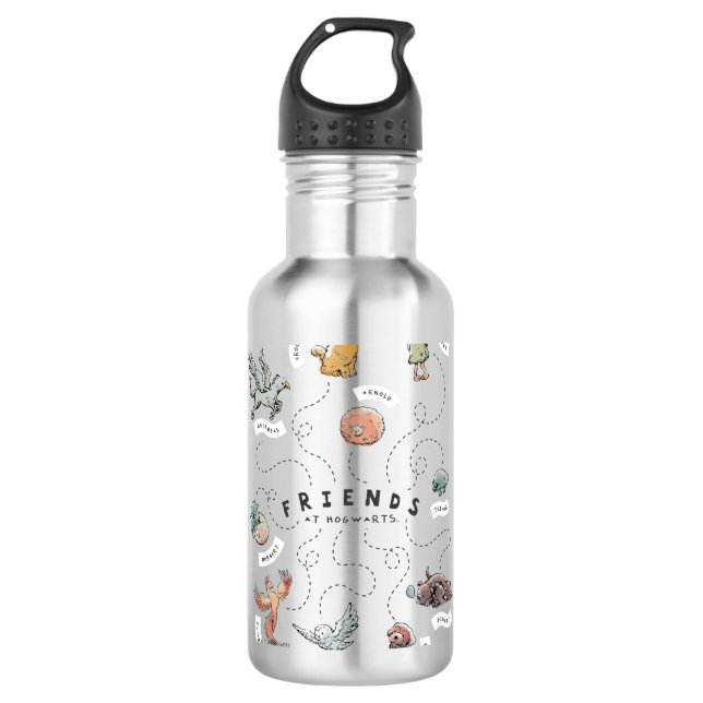 HARRY POTTER™ | Freunde von Hogwarts Edelstahlflasche (Vorderseite)