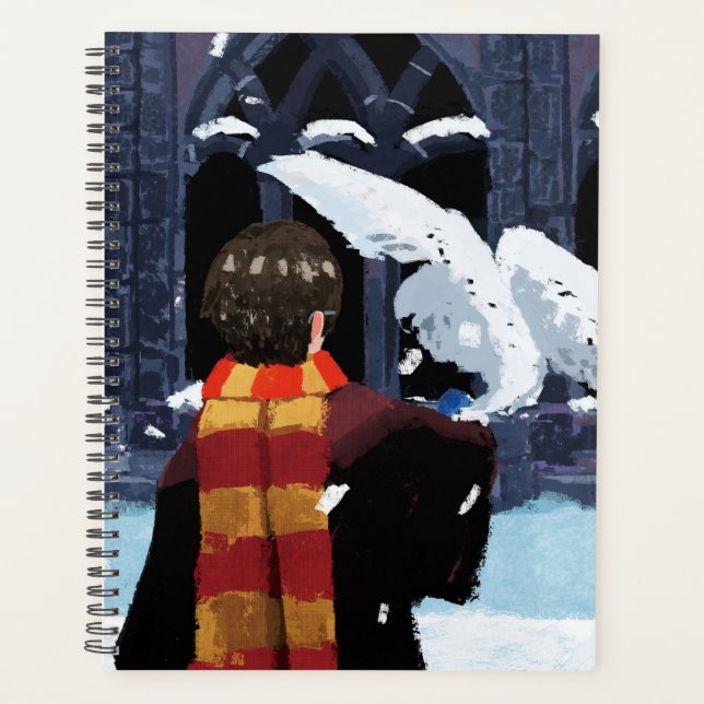 HARRY POTTER™ & Hedwig dans la neige (Devant)