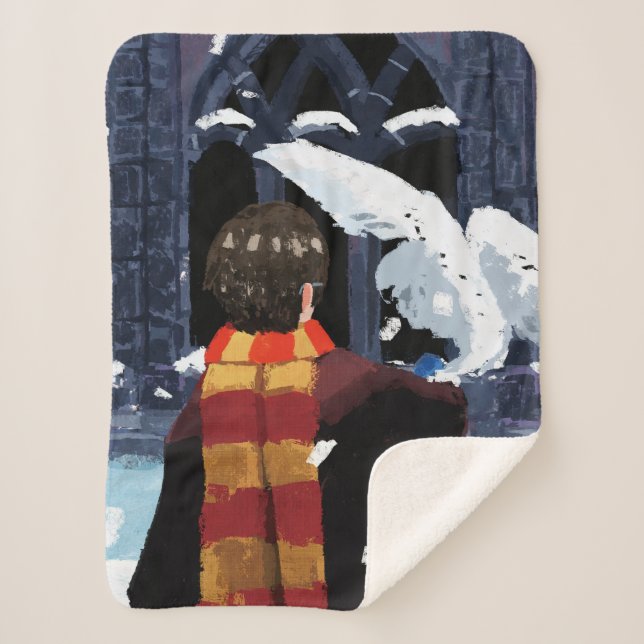 HARRY POTTER™ & Hedwig im Schnee Sherpadecke (Vorderseite)