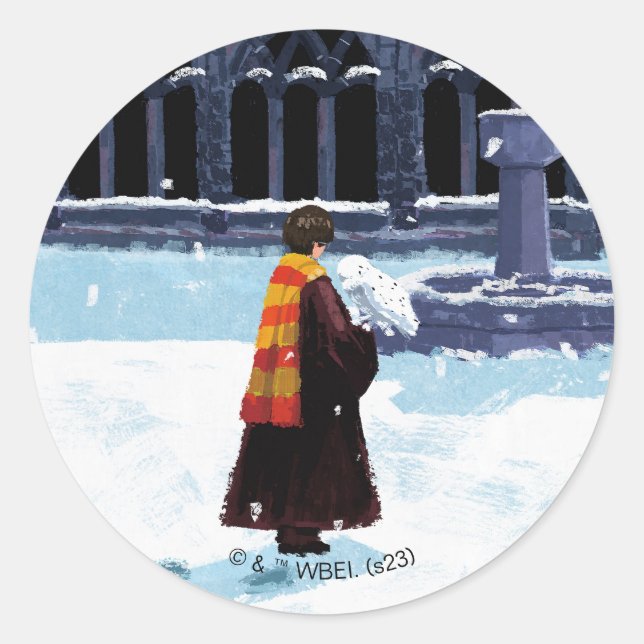 HARRY POTTER™ & Hedwig in HOGWARTS™ Hof Runder Aufkleber (Vorderseite)